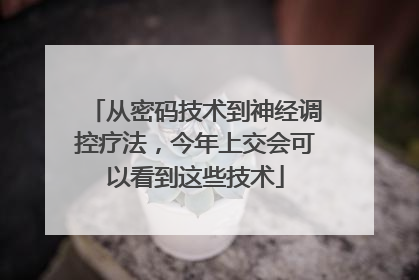 从密码技术到神经调控疗法，今年上交会可以看到这些技术